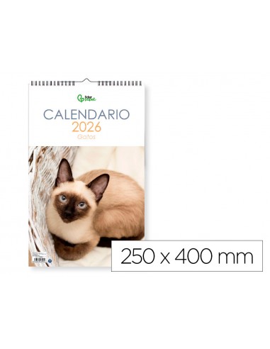 Calendario espiral pared liderpapel...