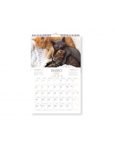 Calendario espiral pared liderpapel...