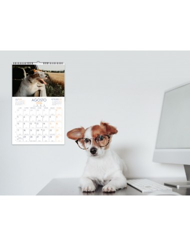 Calendario espiral pared liderpapel...