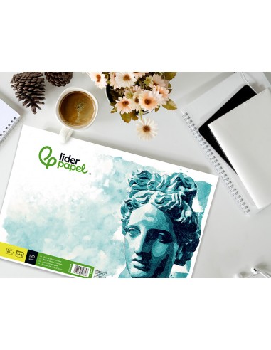 Bloc dibujo liderpapel artistico...