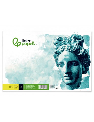 Bloc dibujo liderpapel artistico...