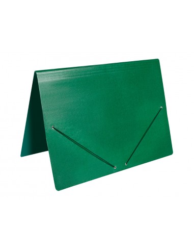 Carpeta planos liderpapel a3 carton...