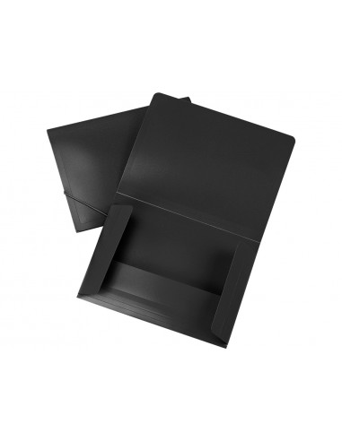 Carpeta liderpapel gomas solapas...