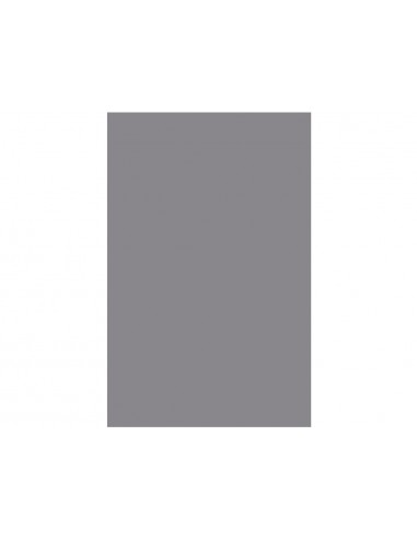 Cartulina liderpapel 50x65 cm gris...