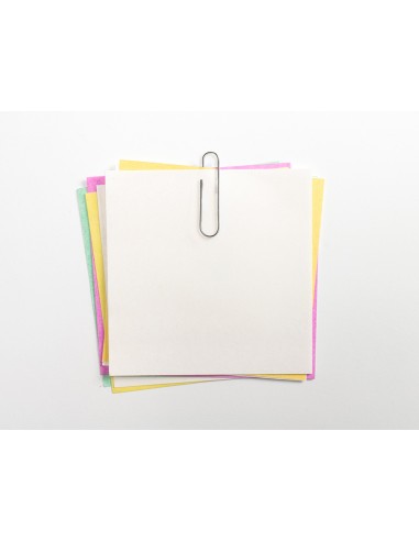 Clips liderpapel nº2 labiados 33 mm...