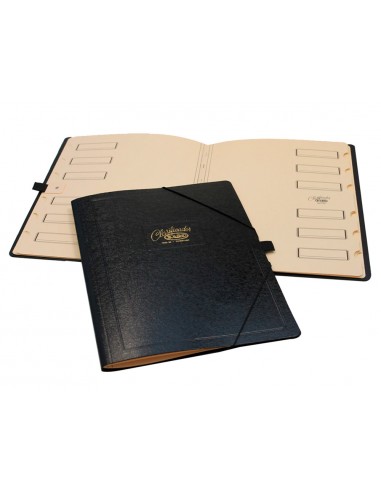 Carpeta clasificador carton compacto...