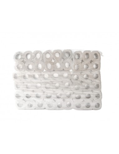Papel higienico lucart ecologico 17 g...