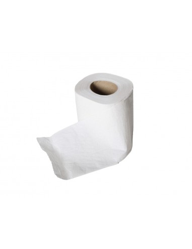 Papel higienico lucart ecologico 17 g...