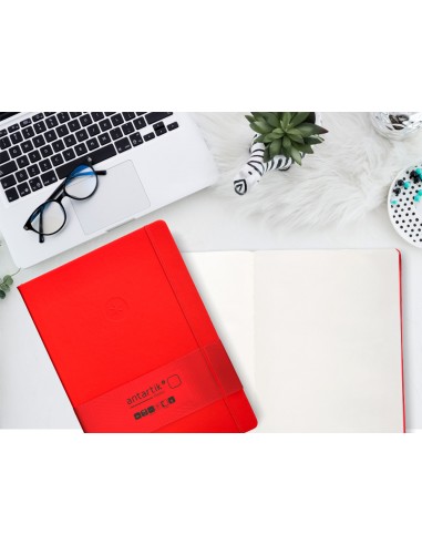 Cuaderno con gomilla antartik notes...