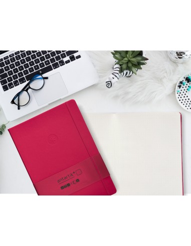 Cuaderno con gomilla antartik notes...