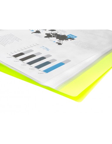 Carpeta liderpapel escaparate 30...