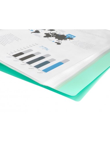 Carpeta liderpapel escaparate 30...