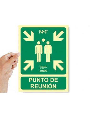 Pictograma archivo 2000 punto de...