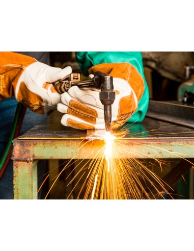 Pictograma archivo 2000 obligatorio...