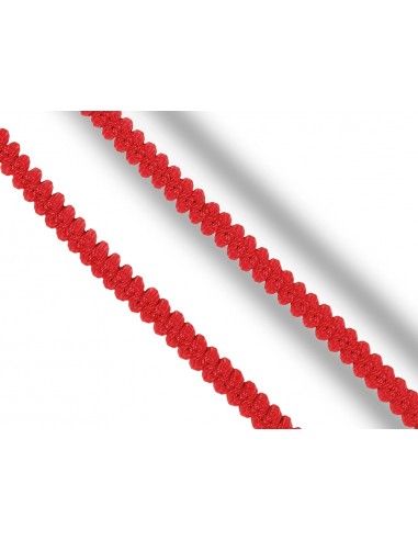 Anticaidas elastica faru con...