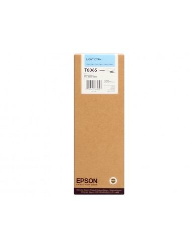 Ink-jet epson gf stylus pro 4880/4800...