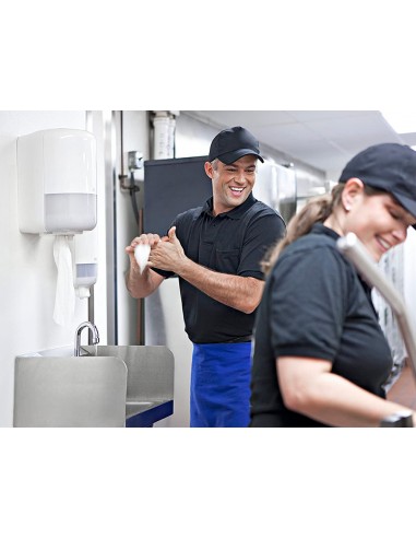 Papel secamanos central 2 capas para...