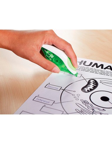 Corrector paper mate cinta dryline...