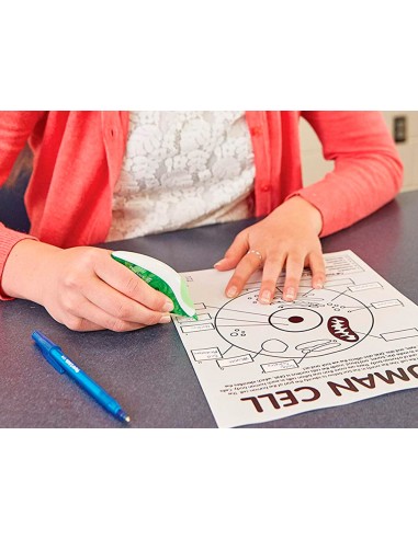 Corrector paper mate cinta dryline...