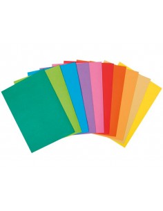 Subcarpeta papel exacompta... 2