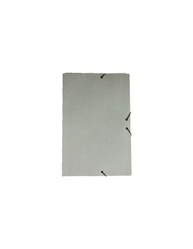 Pastas elasticos liderpapel com abas...