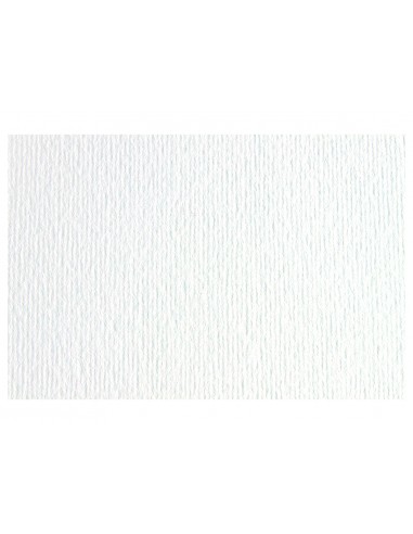 Cartulina lisa/rugosa 2 texturas...