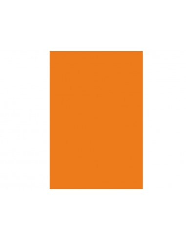 Cartulina guarro mandarina 50x65 cm...