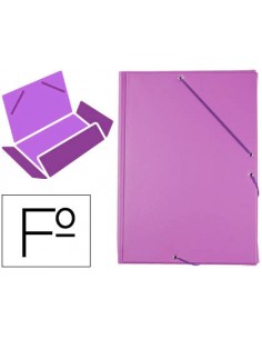Carpeta liderpapel gomas...
