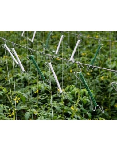 Cuerda rafia liderpapel color blanco...