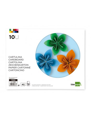 Bloc trabajos manuales liderpapel...