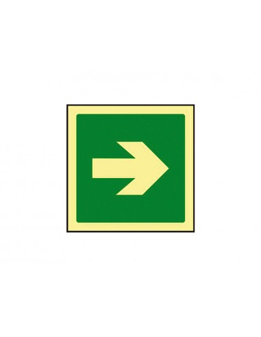 Pictograma syssa señal de via de...