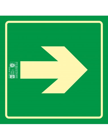 Pictograma syssa señal de via de...