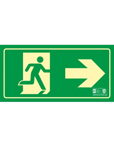 Pictograma syssa señal de salida...