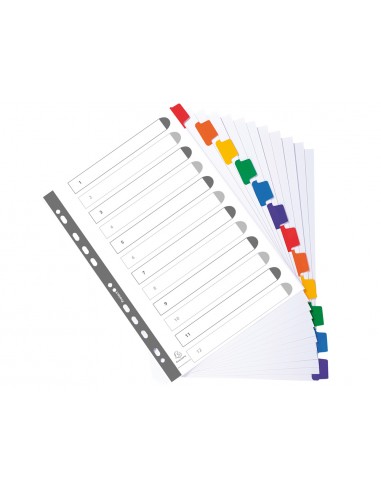 Separador exacompta cartulina juego...