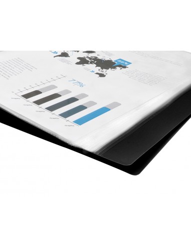 Carpeta liderpapel escaparate 20...