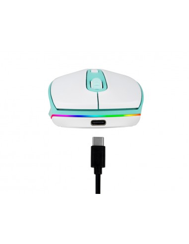 Raton ngs smog optico 1000/1600/2400...