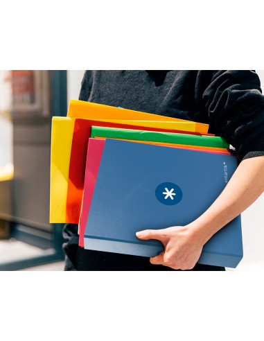 Carpeta 4 anillas 40 mm mixtas...