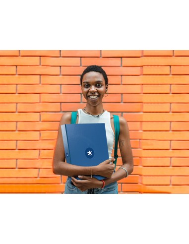 Carpeta 4 anillas 40 mm mixtas...