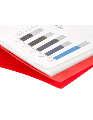 Carpeta liderpapel escaparate 47480...