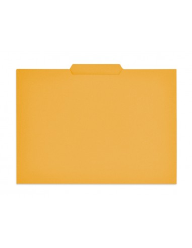 Subcarpeta cartulina gio folio...