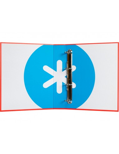 Carpeta 4 anillas 40 mm mixtas...