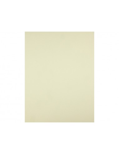 Cartulina liderpapel 50x65 cm 180g/m2...
