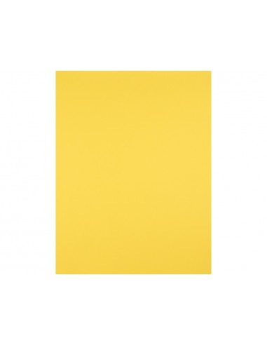 Cartulina liderpapel 50x65 cm 180g/m2...