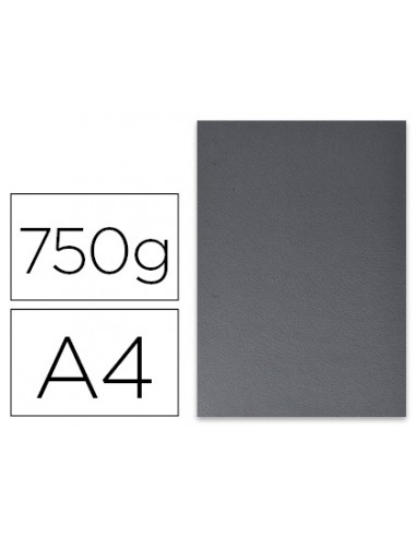 Tapa de encuadernacion fellowes din...