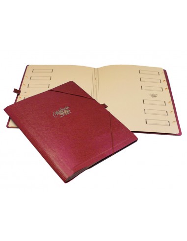 Carpeta clasificador carton compacto...