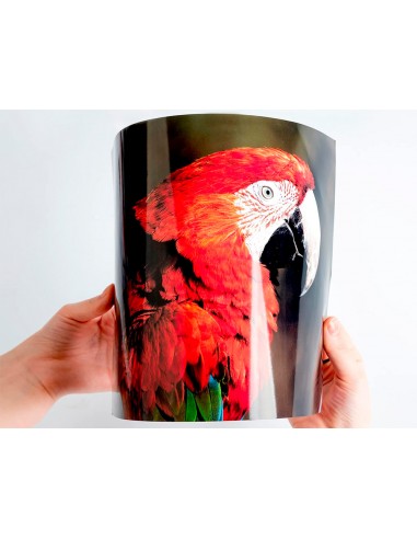 Papel q-connect foto glossy kf01103...