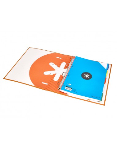 Carpeta con recambio antartik a4...