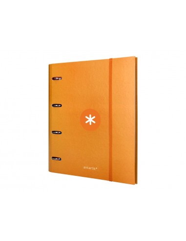 Carpeta con recambio antartik a4...