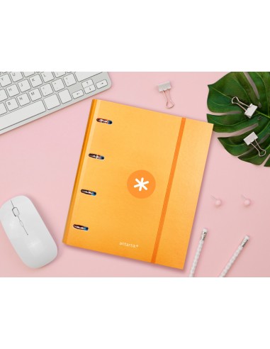 Carpeta con recambio antartik a4...