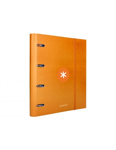 Carpeta con recambio antartik a4...